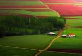 اینجا اروپا نیست، مازندران است+عکس