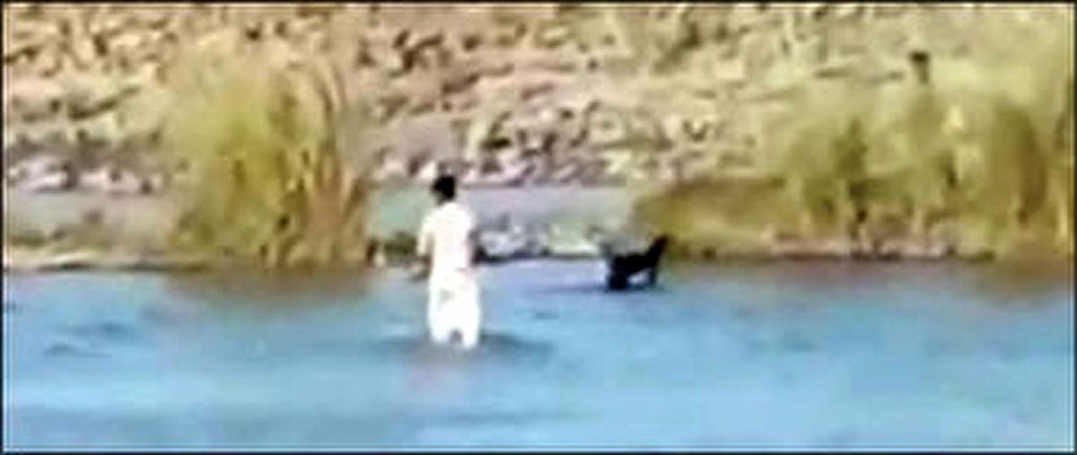 نبرد خطرناک پسر سیستانی با تمساح! +عکس 