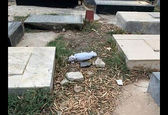 جنازه نوزاد کفن شده در قبرستان پیدا شد +عکس 