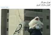 کلاه عجیب مرد تهرانی موتور سوار+عکس