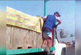 دزدی پشت چراغ قرمز سوژه شد! +عکس