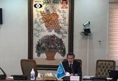 تابلو فرش خاص پشت سر رافائل گروسی+عکس