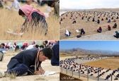 تصویری عجیب از کنکور در افغانستان! +عکس