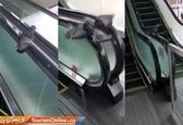 حرکت جالب کبوتر در مترو باعث شهرتش شد! +عکس
